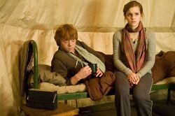 Обои Гарри Поттер и Дары Смерти: Часть I