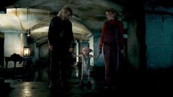 Обои Гарри Поттер и Дары Смерти: Часть I