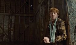 Обои Гарри Поттер и Дары Смерти: Часть I