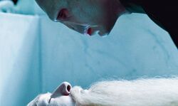 Обои Гарри Поттер и Дары Смерти: Часть I