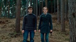 Обои Гарри Поттер и Дары Смерти: Часть I