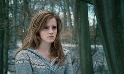 Обои Гарри Поттер и Дары Смерти: Часть I