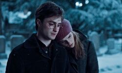 Обои Гарри Поттер и Дары Смерти: Часть I