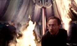 Фото Гарри Поттер и Дары Смерти: Часть I