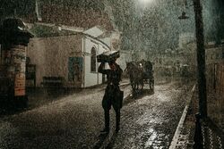 Обои В списках не значился