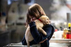 Обои Лето. Солнце. Рождество