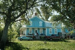 Обои Симона и мистер скунс