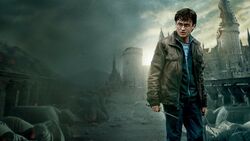 Фото Гарри Поттер и Дары Смерти: Часть II