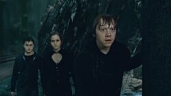 Фото Гарри Поттер и Дары Смерти: Часть II