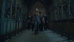 Фото Гарри Поттер и Дары Смерти: Часть II