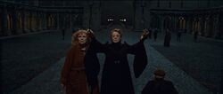 Фото Гарри Поттер и Дары Смерти: Часть II