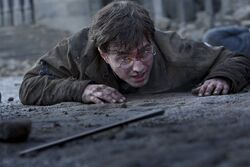 Фото Гарри Поттер и Дары Смерти: Часть II