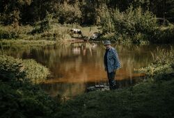 Обои На деревню дедушке