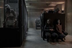 Фото Ходячие мертвецы: Мир за пределами