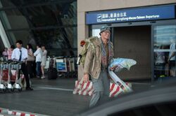 Обои Путешествие Гектора в поисках счастья