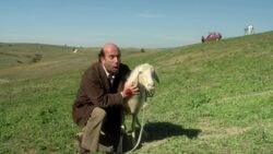 Фото Молодой Папа