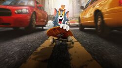 Фото Том и Джерри