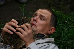 Фото Не надо печалиться