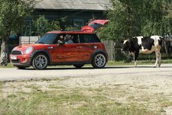 Фото Не надо печалиться