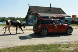 Фото Не надо печалиться