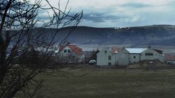 Фото Непогребённые кости