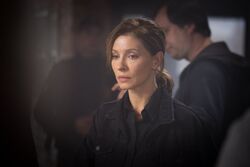 Обои Овчарка (Сериал 2024)