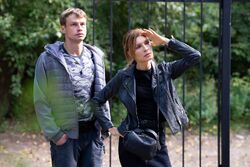 Обои Овчарка (Сериал 2024)