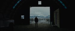 Фото Новая жизнь