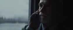 Фото Новая жизнь