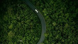 Фото Элегия Хиллбилли