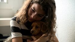 Фото Малышка из парка Плацшпиц