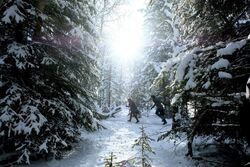 Фото Вайнона Эрп