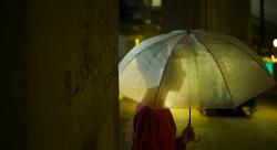 Фото Озеро диких гусей
