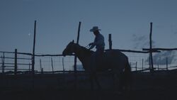Обои Наездник