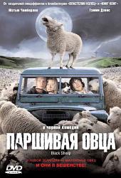 Фото Паршивая овца
