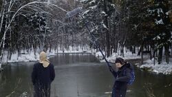 Обои Карот