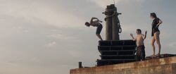 Обои Арахисовый сокол