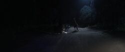 Фото Хищник. Дожить до рассвета