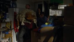 Фото Пес под прикрытием