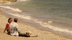 Обои Пластиковое море