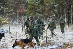 Фото По следу зверя