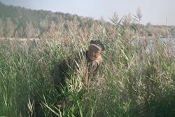 Обои Победа