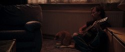 Фото Уличный кот по кличке Боб