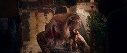 Фото Уличный кот по кличке Боб