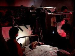 Фото Подопытная свинка 2: Цветок из плоти и крови