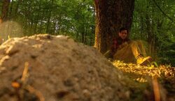 Фото Подсобка дьявола