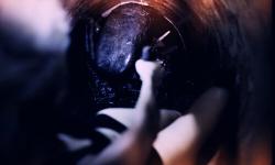Фото Ползи или умри