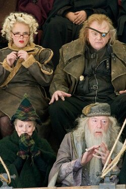 Фото Гарри Поттер и Кубок огня