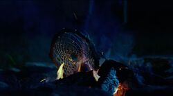 Обои Ловец снов