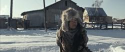 Обои Пугало